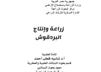 زراعة وإنتاج البردقوش