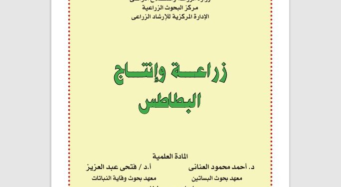 إنتاج البطاطس