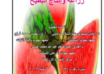 زراعة وإنتاج البطيخ