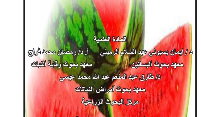 زراعة وإنتاج البطيخ ... نشرة إرشادية (pdf) 1 زراعة وإنتاج البطيخ