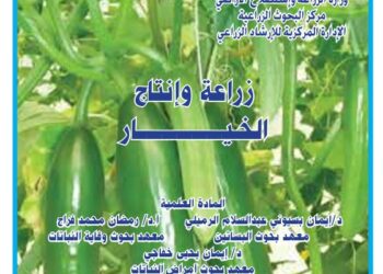 زراعة وإنتاج الخيار