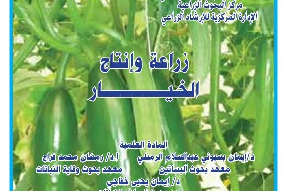زراعة وإنتاج الخيار .. نشرة إرشادية (pdf) 1 زراعة وإنتاج الخيار
