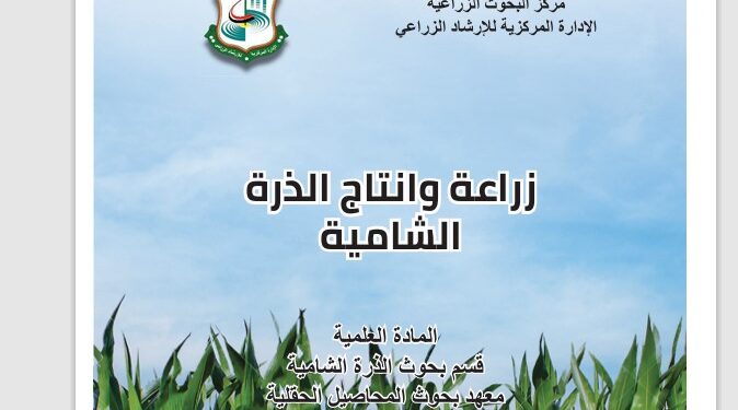زراعة وإنتاج الذرة الشامية .. نشرة إرشادية (pdf) 1 زراعة وإنتاج الذرة الشامية