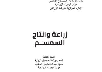 زراعة وإنتاج السمسم