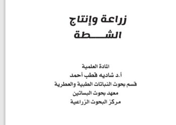 زراعة وإنتاج الشطة