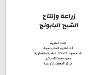 زراعة وإنتاج الشيح البابونج
