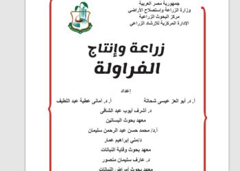 زراعة وإنتاج الفراولة