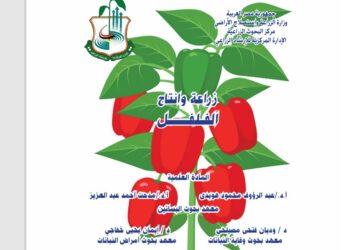 زراعة وإنتاج الفلفل