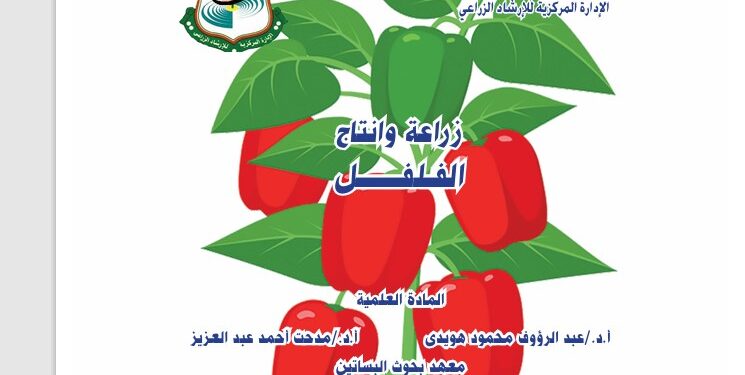 زراعة وإنتاج الفلفل