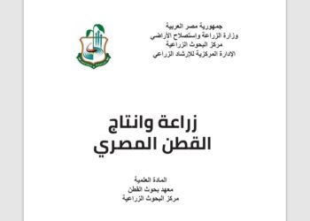 زراعة وإنتاج القطن المصري