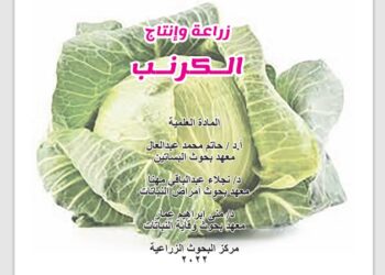 زراعة وإنتاج الكرنب