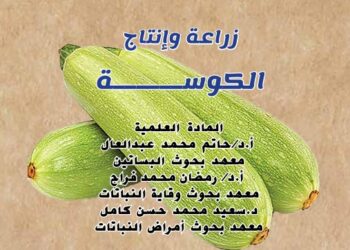 زراعة وإنتاج الكوسة