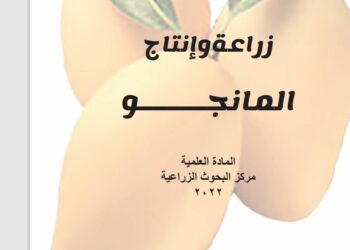 زراعة وإنتاج المانجو