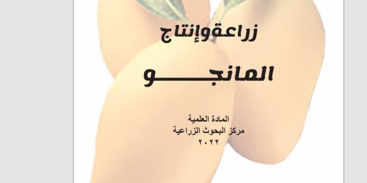 زراعة وإنتاج المانجو