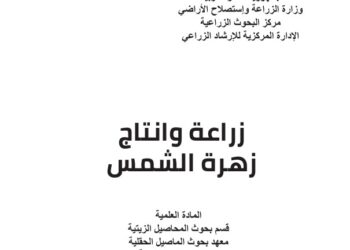 زراعة وإنتاج زهرة الشمس