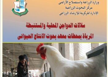 سلالات الدواجن المحلية والمستنبطة