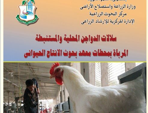سلالات الدواجن المحلية والمستنبطة .. نشرة إرشادية (pdf) 1 سلالات الدواجن المحلية والمستنبطة