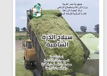 سيلاج الذرة الشامية