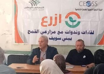 محصول القمح