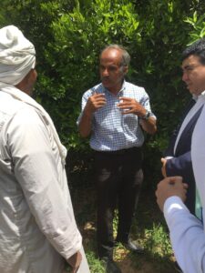 الفرق الإرشادية