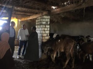 الفرق الإرشاردية تتابع الثروة الحيوانية ببئر العبد