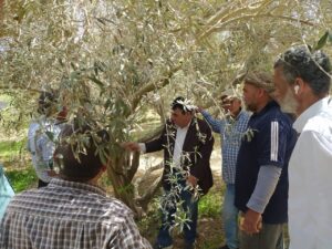 الفرق الإرشاردية 4