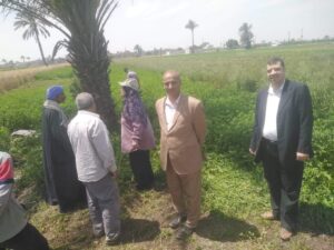 الفريق الإرشادى ببني سويف