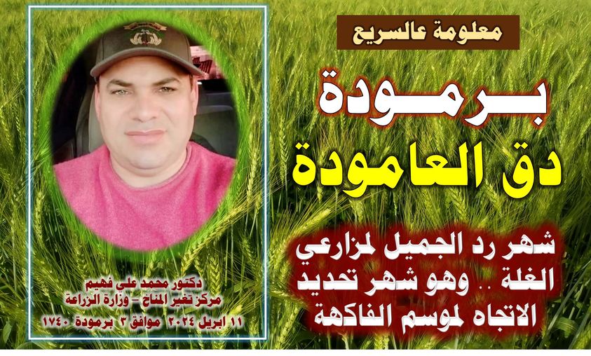 برمودة