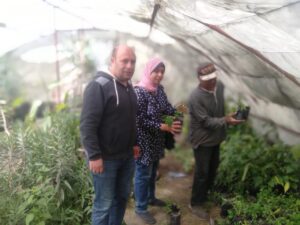 زراعة الإسكندرية تتابع الصوب