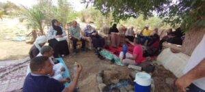 زراعة جنوب سيناء: بدء مدارس الإنتاج الحيوانى والداجنى بجنوب سيناء 15 زراعة جنوب سيناء