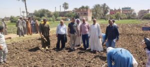 زراعة محصول الفول الصويا بزراعة أسيوط
