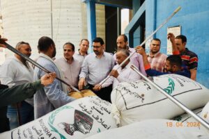 زراعة المنيا تتفقد زراعات القمح ..وتتابع عمليات توريد المحصول للصوامع 14 فحص توريد القمح بزراعة المنيا