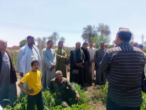ندوة إرشادية بزراعة بني سويف