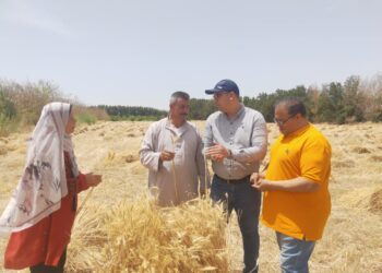 البحوث الزراعية وبحوث الصحراء يتابعان نتائج المشروعات البحثية المشتركة وبرامج التنمية الزراعية بجنوب سيناء