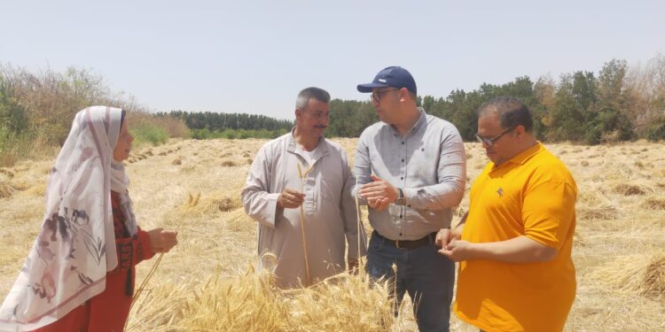 البحوث الزراعية وبحوث الصحراء يتابعان نتائج المشروعات البحثية المشتركة وبرامج التنمية الزراعية بجنوب سيناء 1 البحوث الزراعية وبحوث الصحراء يتابعان نتائج المشروعات البحثية المشتركة وبرامج التنمية الزراعية بجنوب سيناء