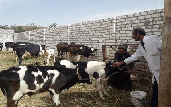 الأمراض الوبائية.. د. خالد مرسي يتحدث عن دور الدولة في مواجهتها 1 الأمراض الوبائية