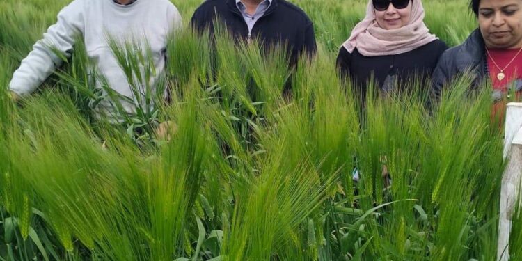 حصاد أنشطة معهد بحوث أمراض النباتات خلال مارس 2024 1 معهد بحوث أمراض النباتات