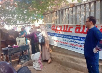 التناسليات الحيوانية