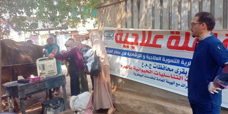 التناسليات الحيوانية