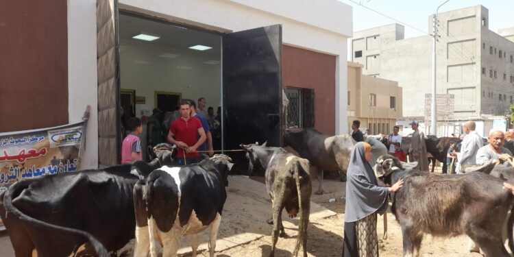 التناسليات الحيوانية ينظم قافلة بيطرية مجانية لمحافظة المنيا 1 التناسليات الحيوانية