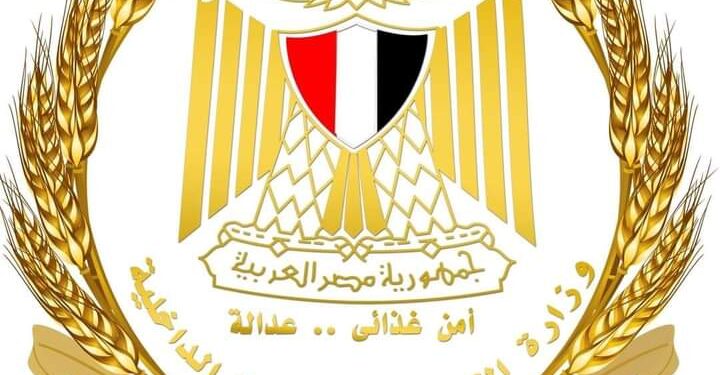 وزير التموين: فتح نقاط استلام وتوريد القمح المحلي مبكراً في أربع نقاط بالمحافظات التي بدأت التوريد مبكراً 1 وزير التموين