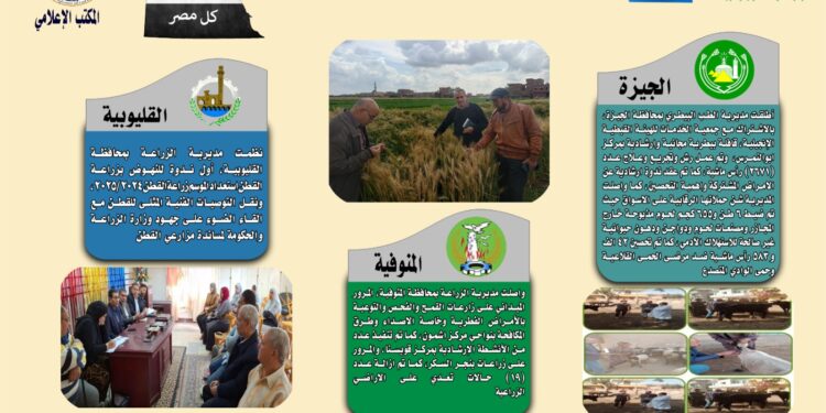 “الزراعة في كل مصر” العدد رقم ١٣٩ عن  أنشطة وجهود مديريات الزراعة والطب البيطري خلال الفترة من ٢٦ مارس وحتى ١ أبريل الجاري
