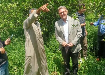 مكافحة الآفات