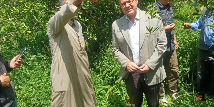 مكافحة الآفات