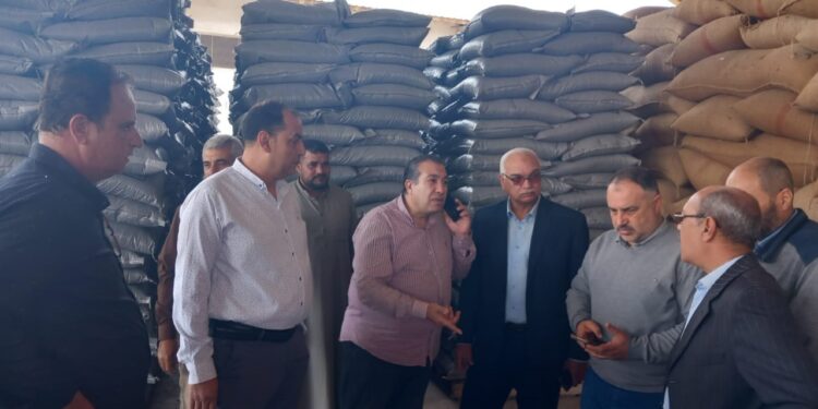 الزراعة تتابع عمليات تجهيز وتوزيع بذرة القطن موسم 2024 1 الزراعة