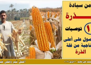الذرة