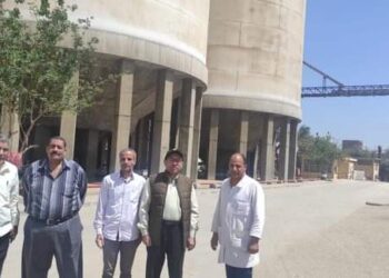 وكيل زراعة سوهاج يتابع استعدادات الصوامع لاستلام القمح