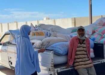 استلام القمح بزراعة جنوب سيناء