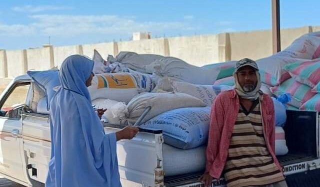 استلام القمح بزراعة جنوب سيناء