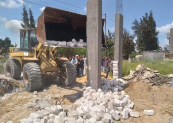 إزالة التعديات بزراعة الإسكندرية